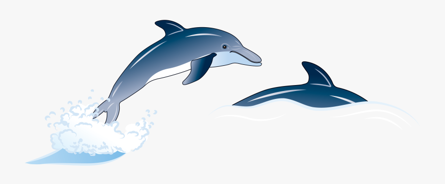 Porpoise Drawing Blue Dolphin Transparent Png Clipart - Dolphin, Transparent Clipart