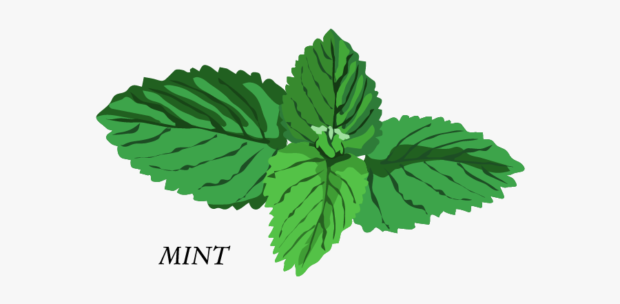 Herb Basil Mint Clip Art - Herbs Clip Art, Transparent Clipart