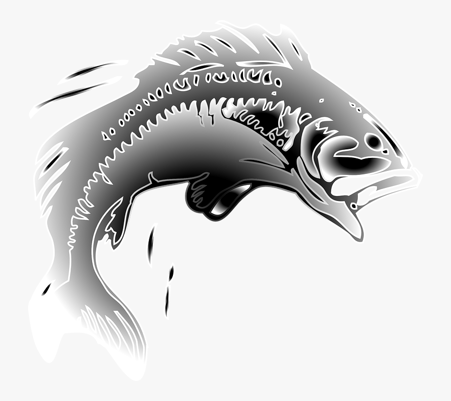 Transparent Fish Jumping Clipart Png, Transparent Clipart