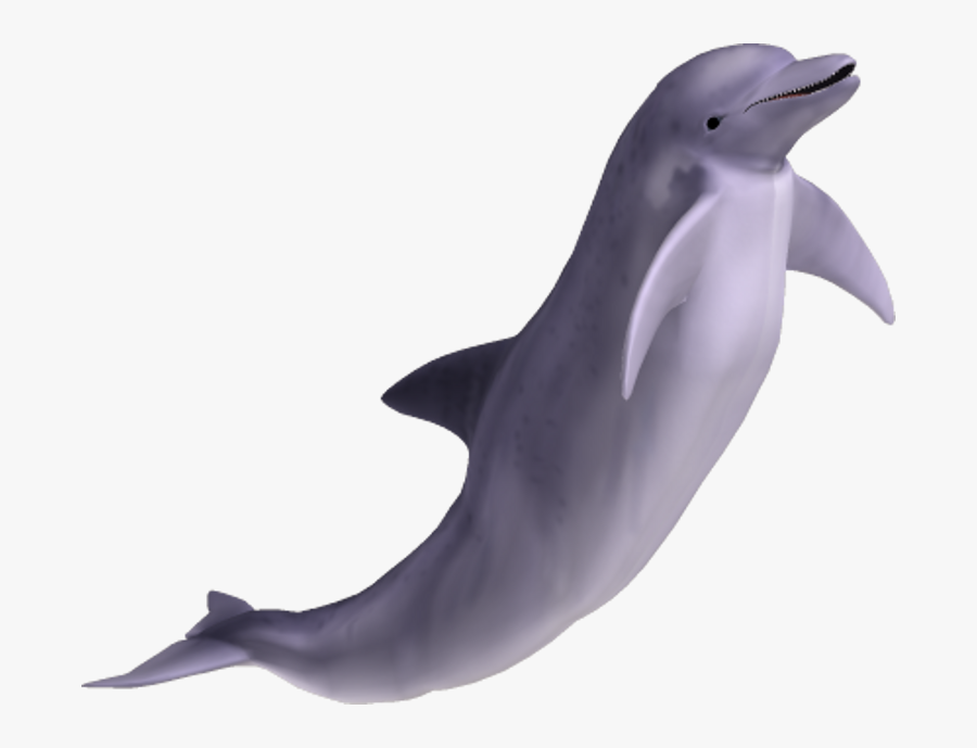Dolphins Clipart Clear Background - Transparent Background Dolphin Png, Transparent Clipart
