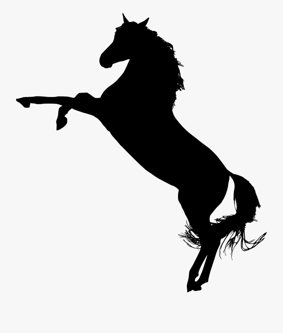 American Quarter Arabian Stallion - Stallion Clip Art, Transparent Clipart