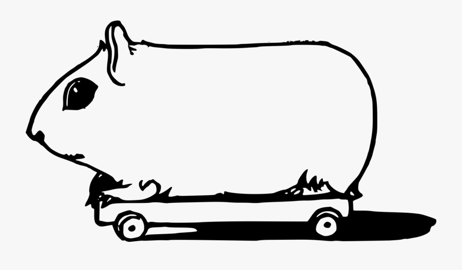 Guinea Pig On Wheels - Guinea Pig Transparent Icon, Transparent Clipart