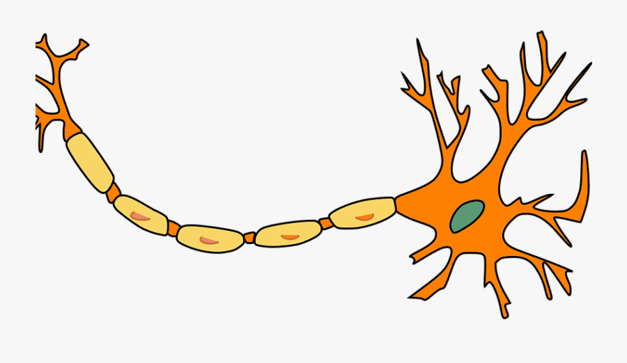 Clip Art Png Freeuse Huge - Neuropathy Nerve Damage Clip Art , Free