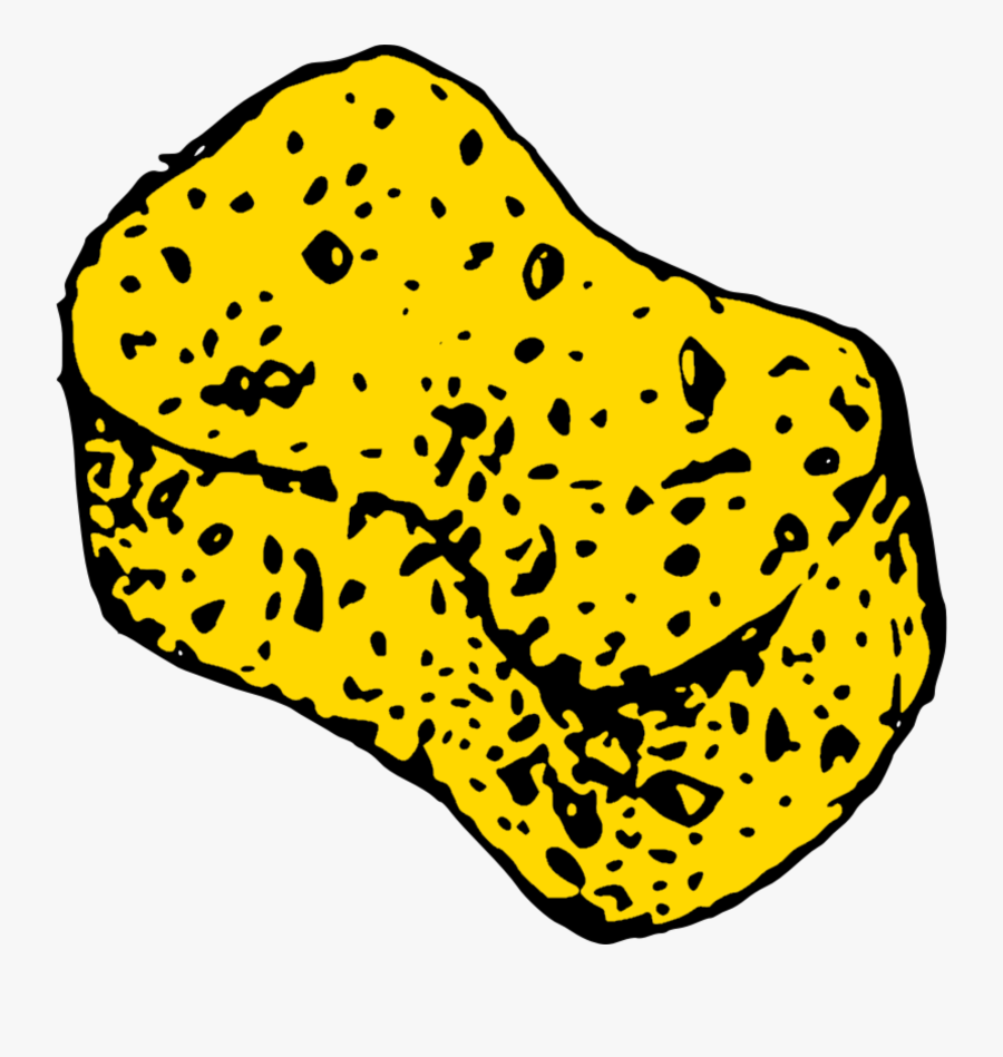 Yellow,line,organism - Drawing Of A Sponge, Transparent Clipart