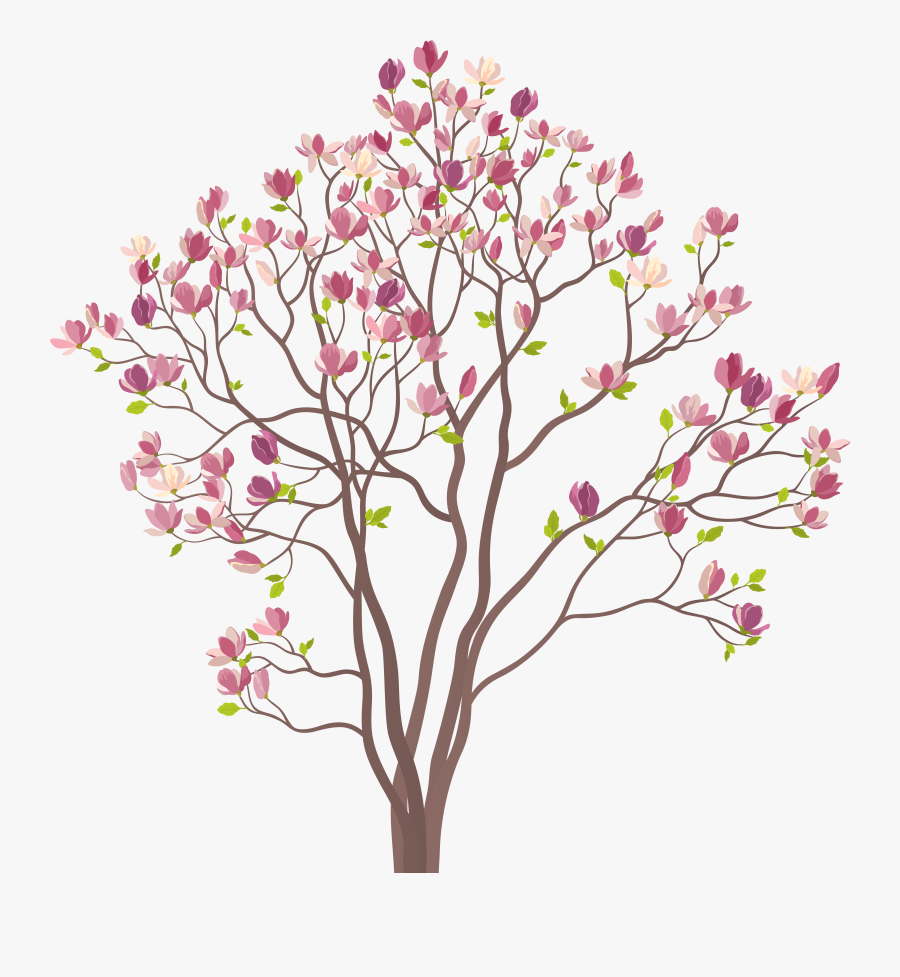 Transparent Spring Tree Png, Transparent Clipart