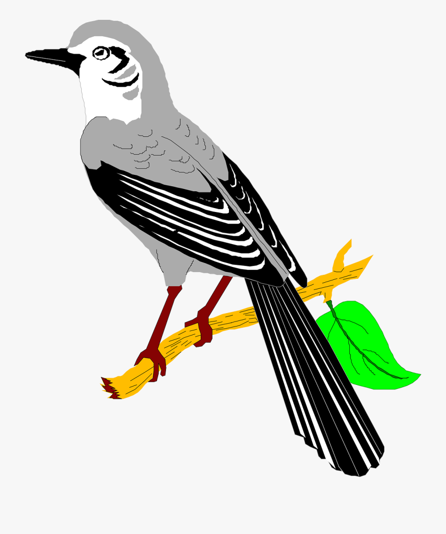 Leaf-46540 960 - Clipart Mockingbird, Transparent Clipart