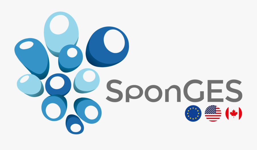 Sponges Has Received Funding From The European Union"s - Sponges Project, Transparent Clipart