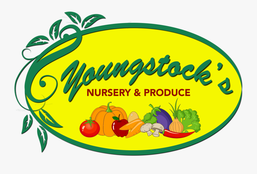 Project Las Vegas, Transparent Clipart