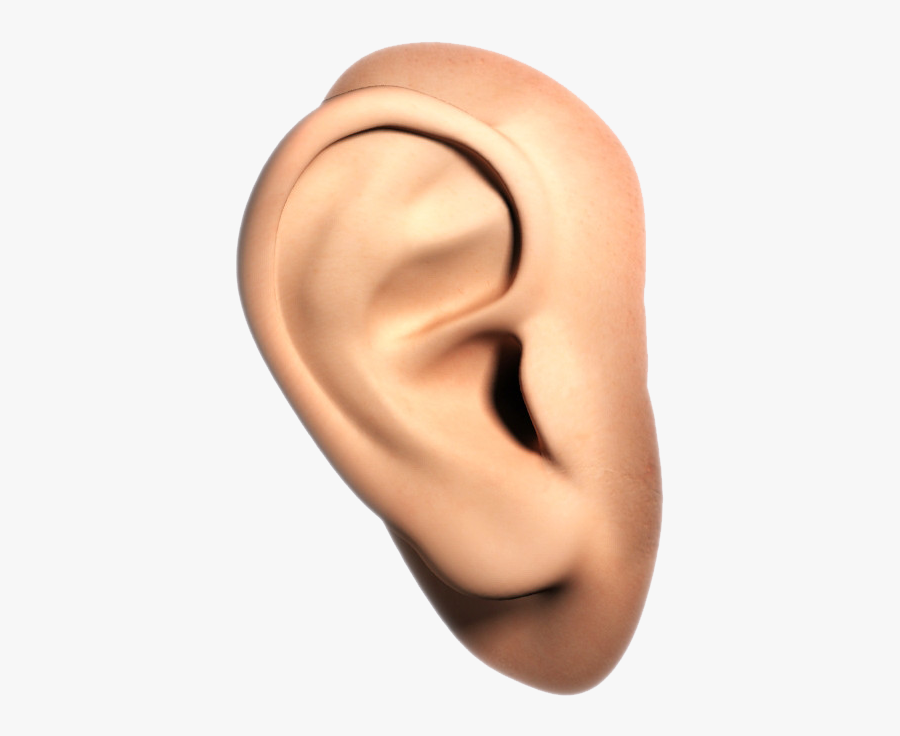 Ear Clipart Png Transparent - Human Ear Transparent, Transparent Clipart