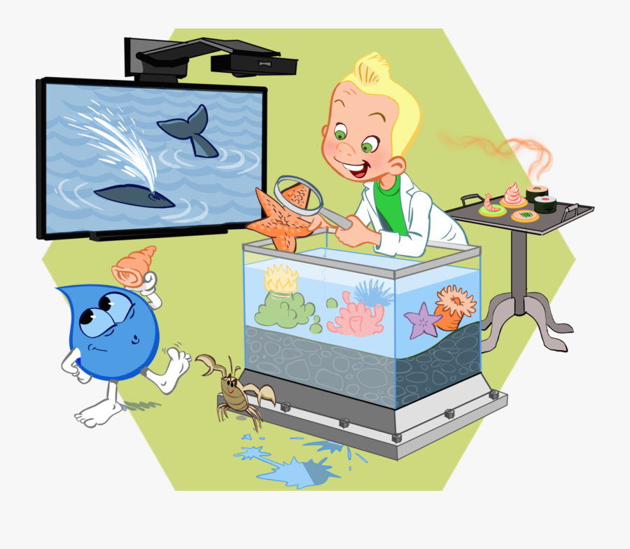 The Five Senses And The Sea - Cartoon, Transparent Clipart