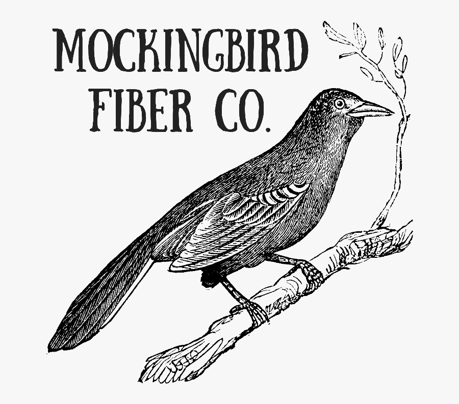 Northern Mockingbird, Transparent Clipart