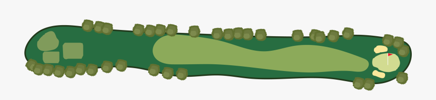 Grass, Transparent Clipart