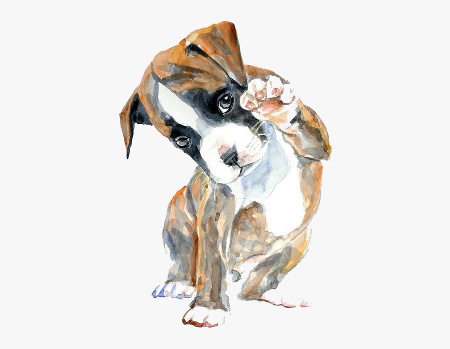 Oil Hello Watercolor Boxer Puppy Painting Drawing Clipart - Boxer Puppy Drawing, Transparent Clipart