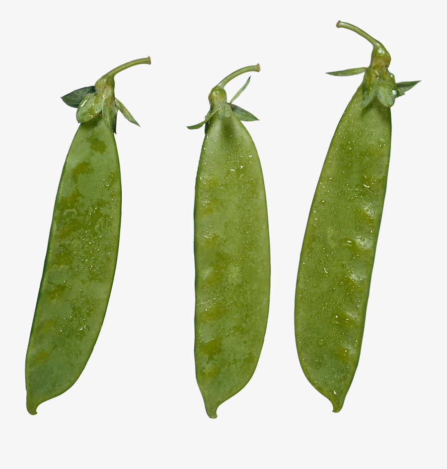 Pea Png, Transparent Clipart