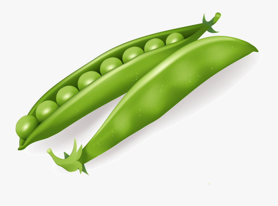 Download Pea Clipart Png Photo - Pea Clipart, Transparent Clipart