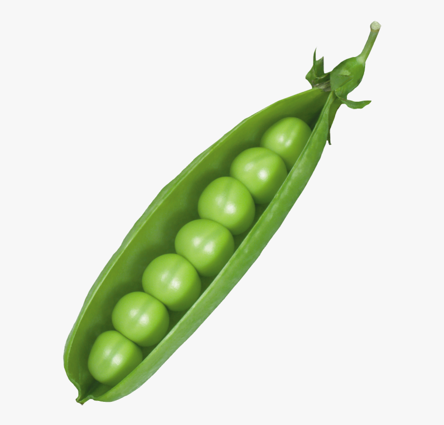 Peas Clipart Canned Pea - Peas Png, Transparent Clipart