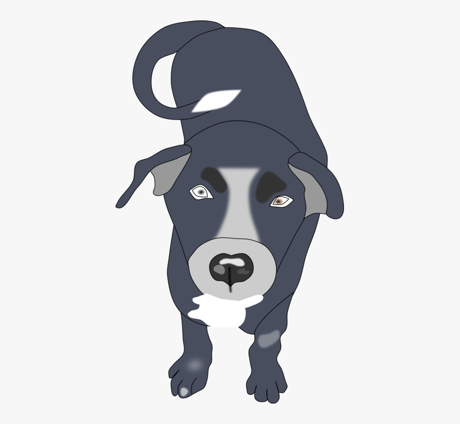 Head,carnivoran,headgear - American Pit Bull Terrier, Transparent Clipart