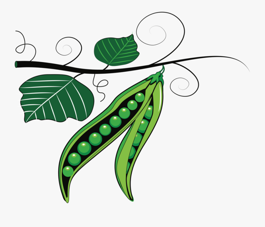 Line Art,plant,flora - Peas Clipart, Transparent Clipart
