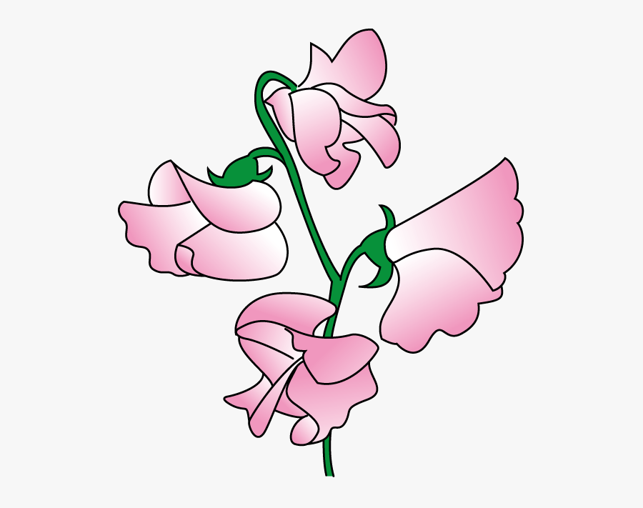 Thumb Image - Sweet Pea Flower Clip Art , Free Transparent Clipart - Clipar...