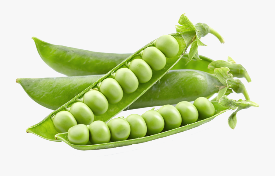 Peas Clipart Green Pea - Foods Have Vitamin B1, Transparent Clipart