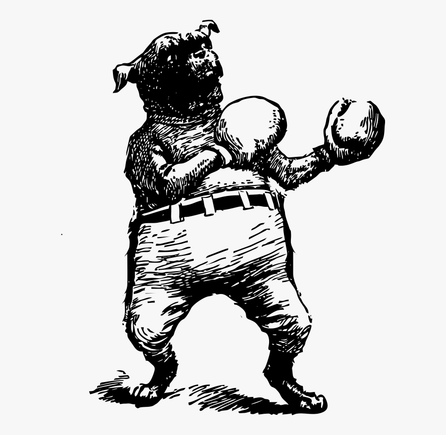 Boxer Clipart Baby - Boxing Bulldog, Transparent Clipart
