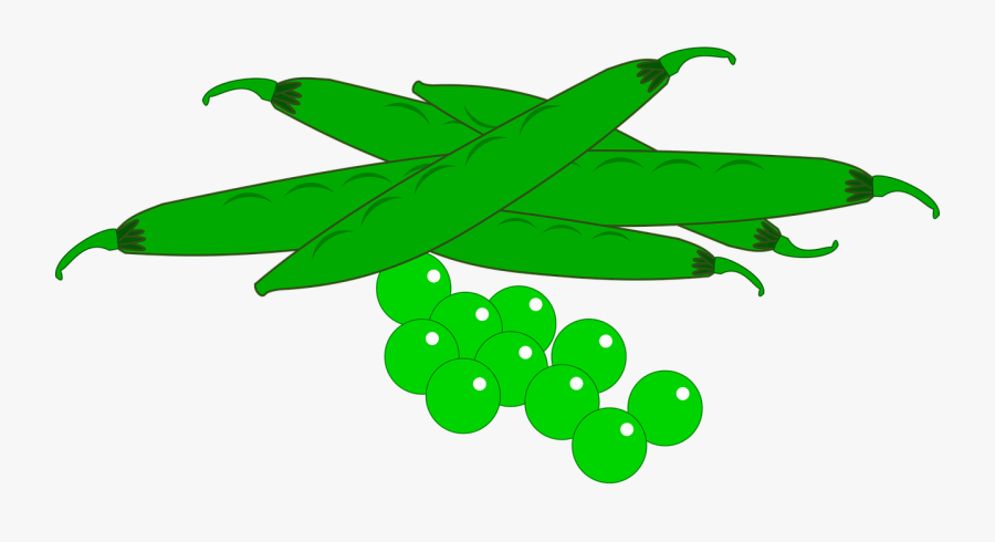 Planta De Chicharo Png, Transparent Clipart