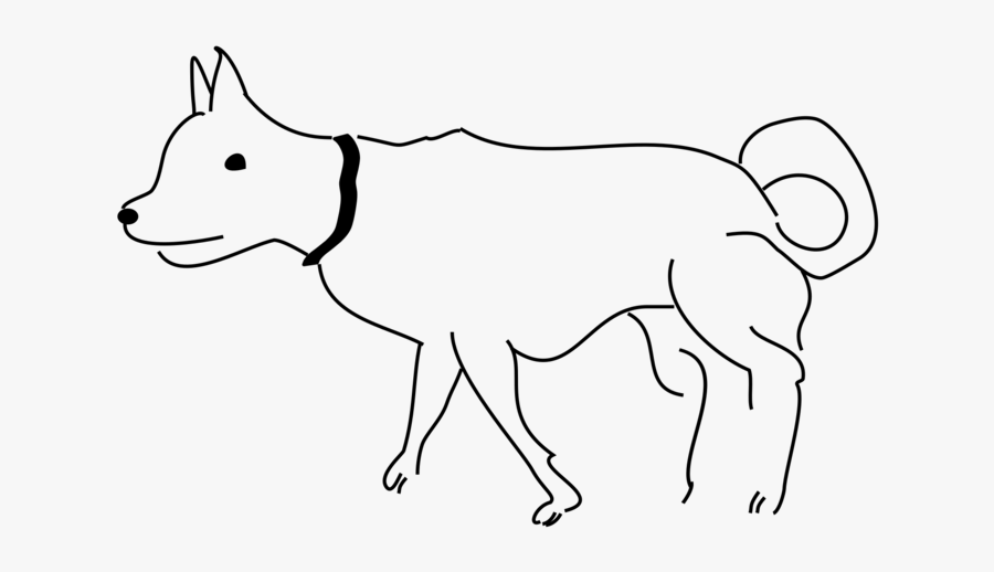 Carnivoran,artwork,dog Breed - Kishu, Transparent Clipart