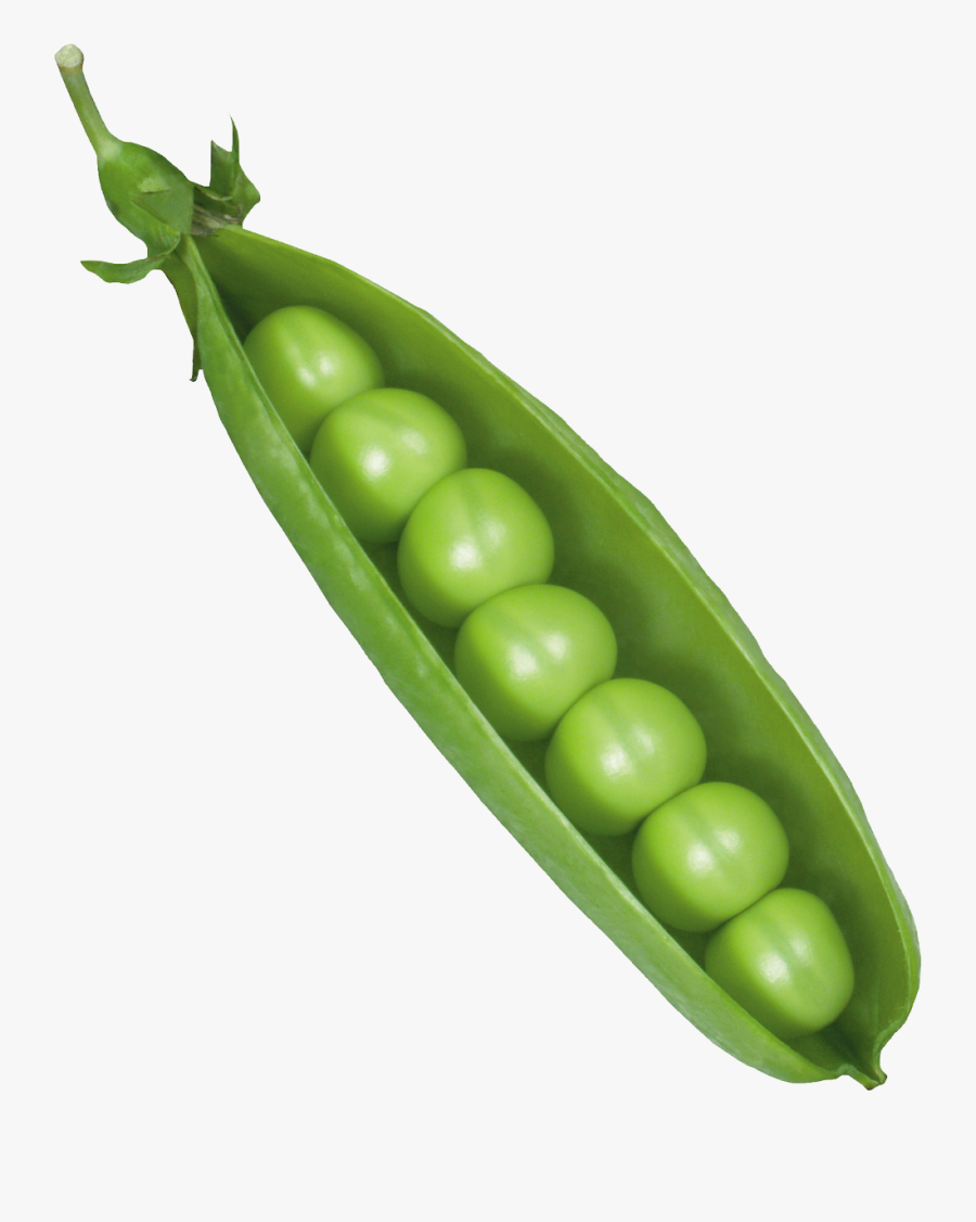 Peas Clipart Line - Pea Png, Transparent Clipart