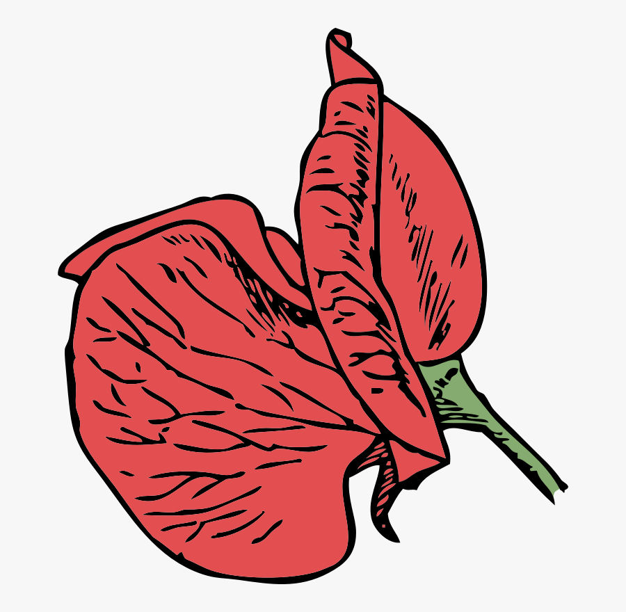 Sweet Pea Flower Cartoon, Transparent Clipart