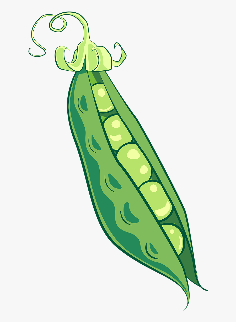 Peas Pea Pod Food Free Picture - Peas Clipart Png, Transparent Clipart