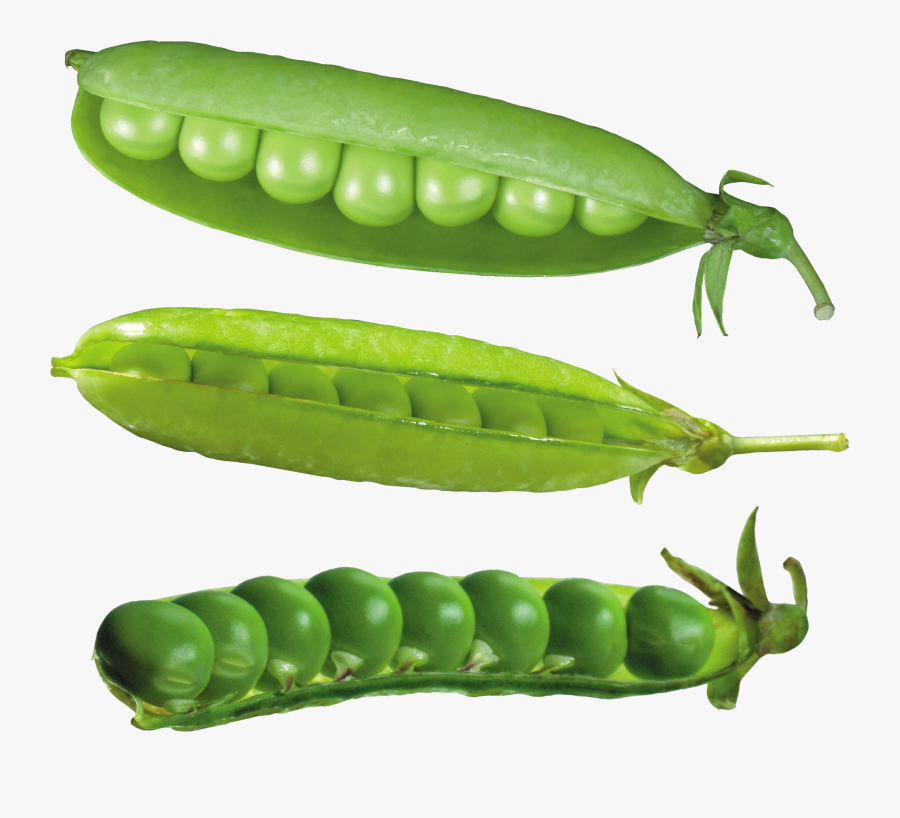 Peas Clipart , Free Transparent Clipart ClipartKey