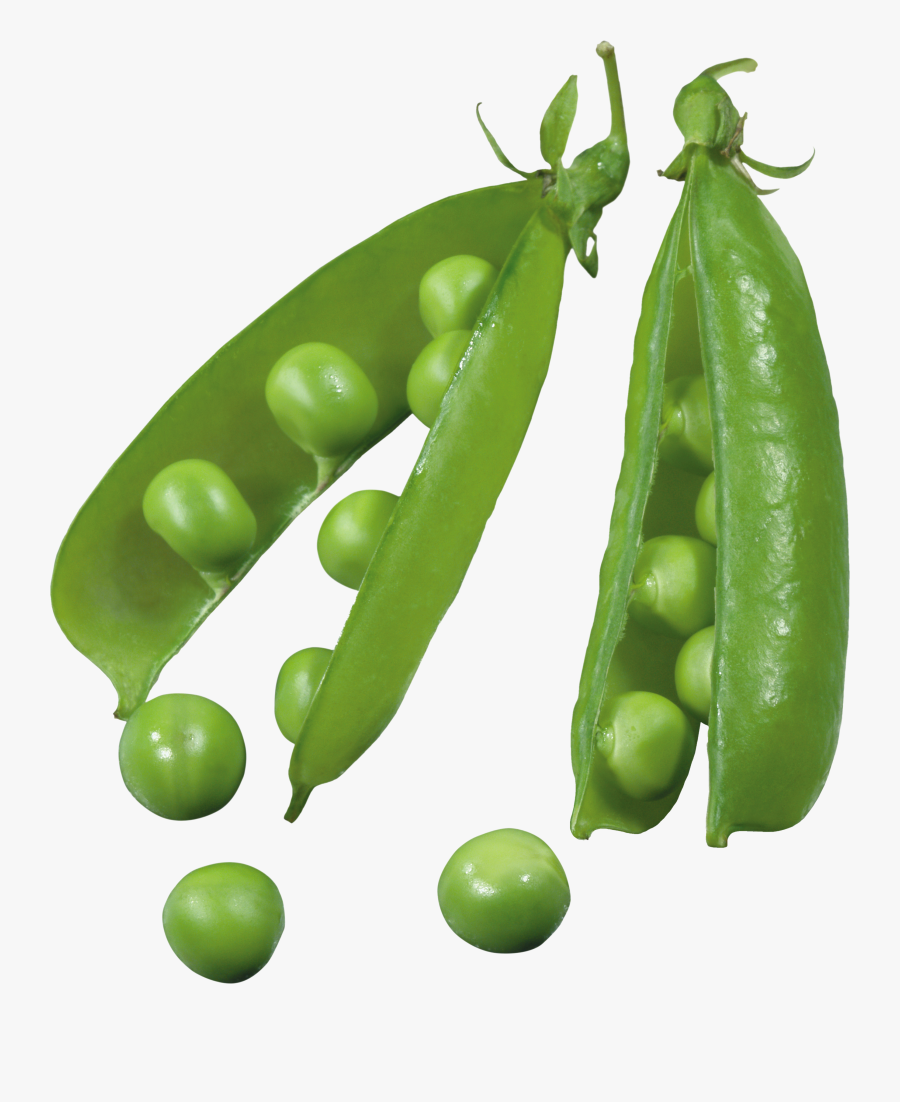 Peas Clipart Color - Transparent Background Peas Png, Transparent Clipart