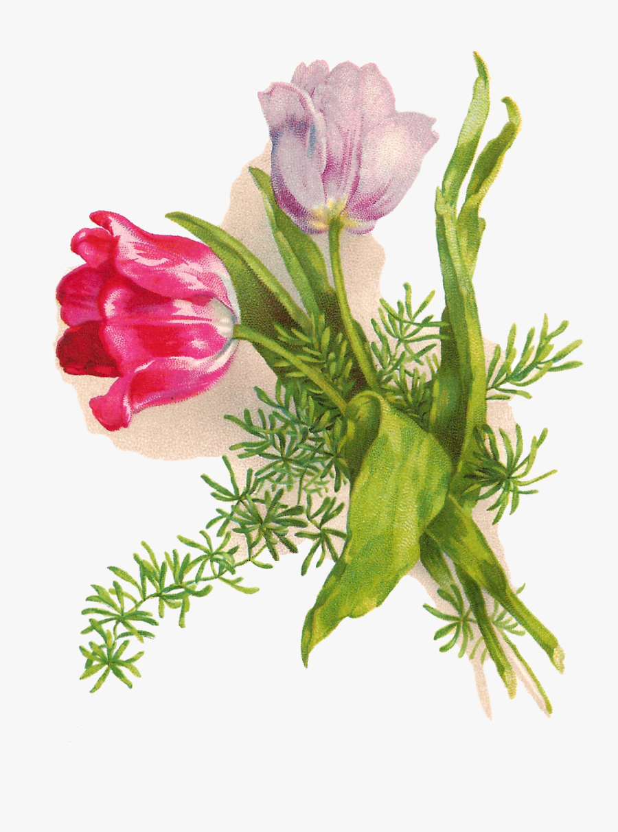 Peas Clipart Three - Easter Flowers Clipart Free, Transparent Clipart