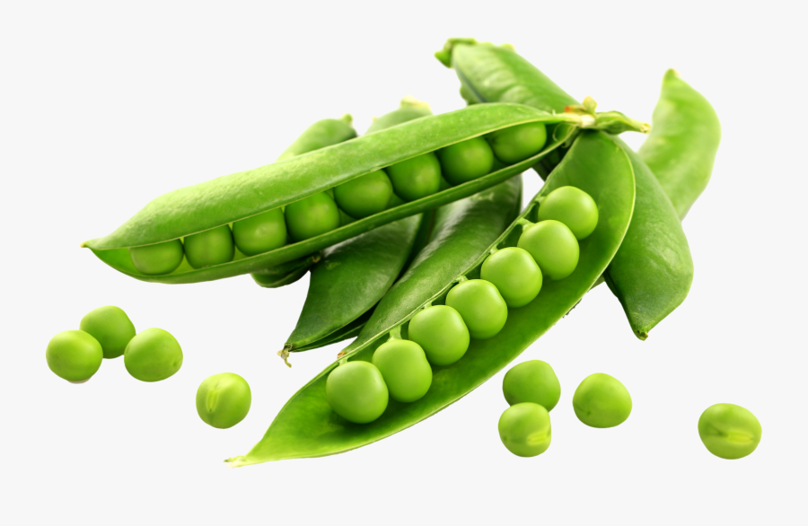 Download English Pea Snow, Transparent Clipart