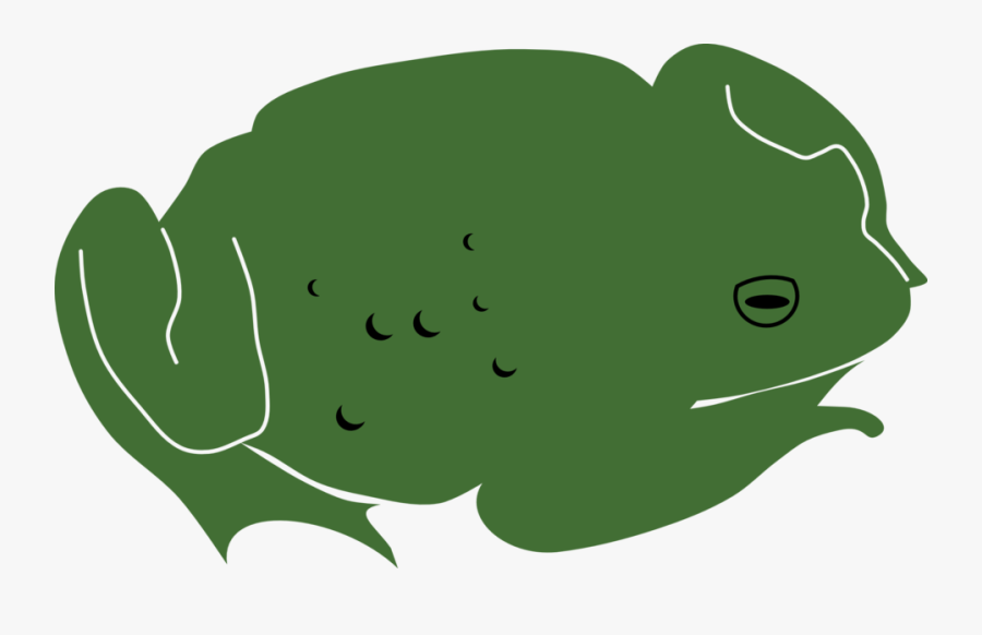Frog, Transparent Clipart