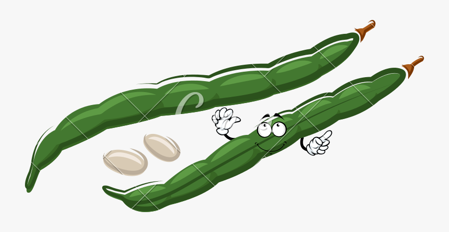 Transparent Peas Png - Vaina Dibujo, Transparent Clipart