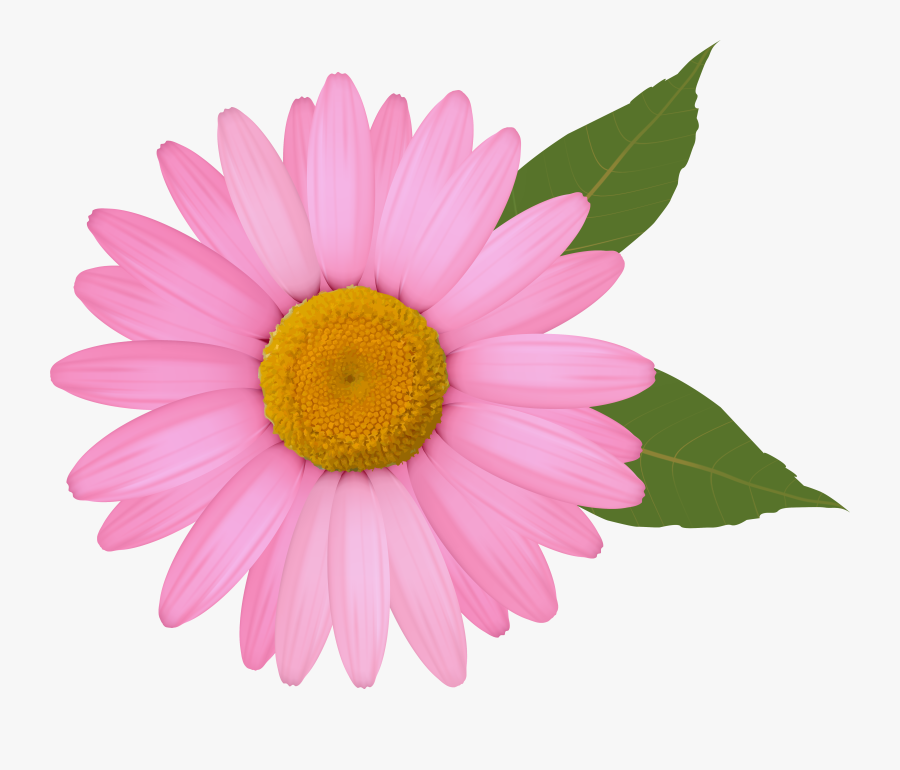 Pink Daisy Png Clipart Image - Daisy Flower Clipart, Transparent Clipart