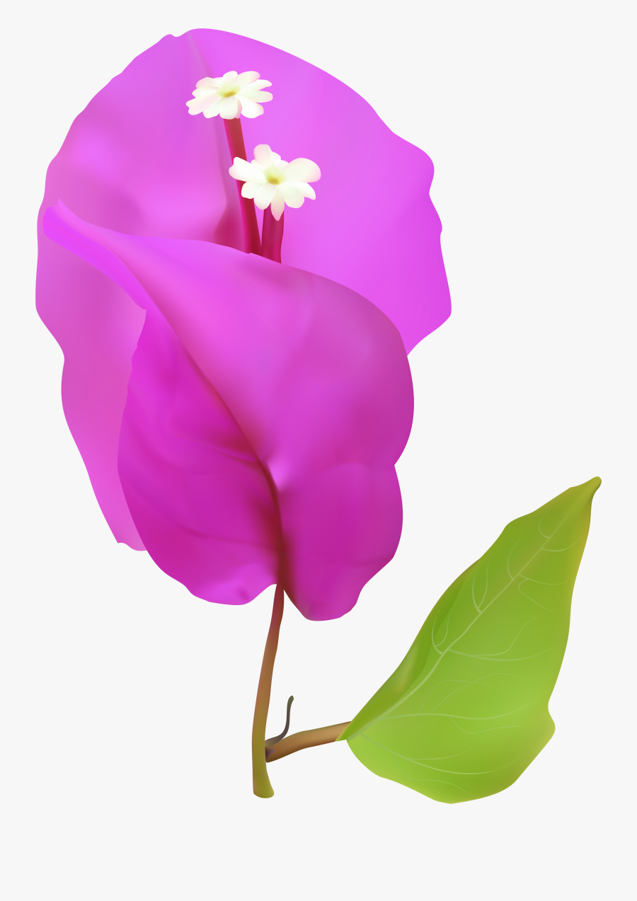 Peas Clipart Sweet Pea - Portable Network Graphics, Transparent Clipart