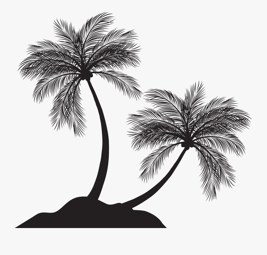 Arecaceae Tree Silhouette, Transparent Clipart