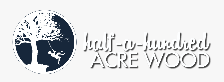 Transparent Statue Of Liberty Head Png - Circle, Transparent Clipart