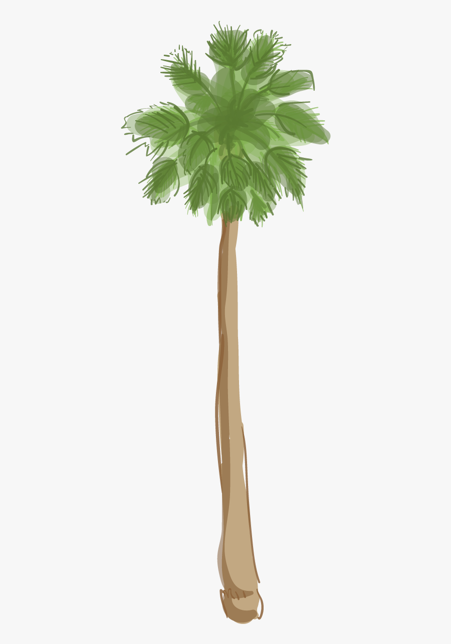 Palm Clipart Pom Tree - Los Angeles Palm Tree Png , Free Transparent ...