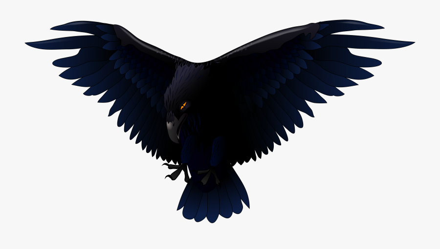 Raven Vector Png, Transparent Clipart
