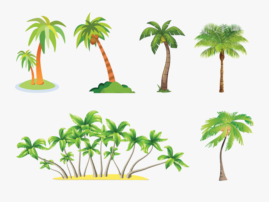 Palm Tree Flower Clipart - Png Palm Tree, Transparent Clipart