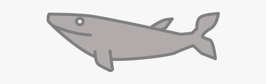 Shark, Transparent Clipart