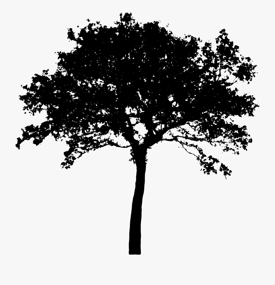 Silhouette Tree Png Vector, Transparent Clipart