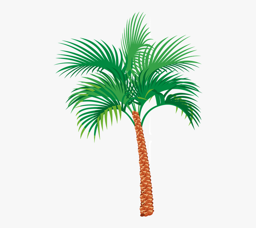 Palm Tree Graphics - Palm Tree Png Gif, Transparent Clipart