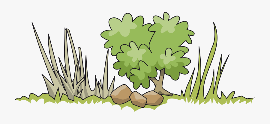 Transparent Bush Plan Png - Australian Bush Clipart, Transparent Clipart