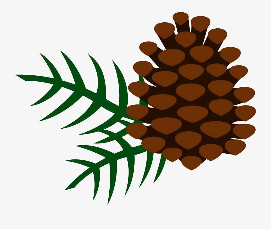Needles Cliparts - Clip Art Pine Cone, Transparent Clipart