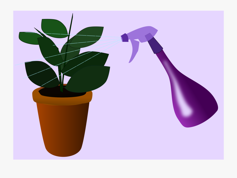 Caring For Houseplants Clip Arts - Dbanie O Rośliny, Transparent Clipart