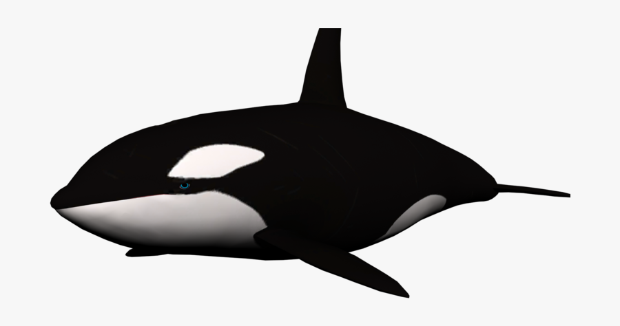 Killer Whale Png Clipart - Transparent Background Transparent Whales, Transparent Clipart